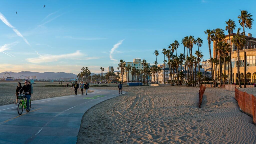 Limo Service Venice