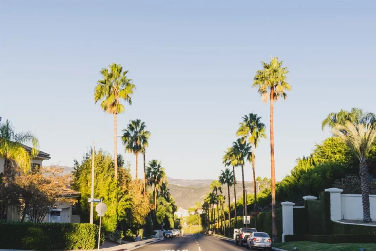 Limo Service Pacific Palisades